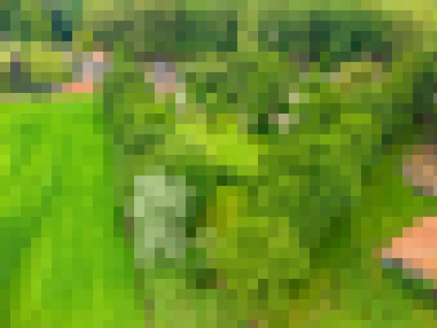 Lageweg 24 Wedde thumbnail 4
