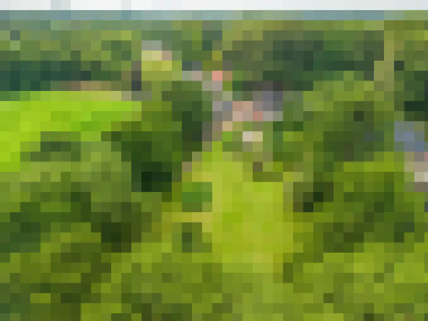 Lageweg 24 Wedde thumbnail 5