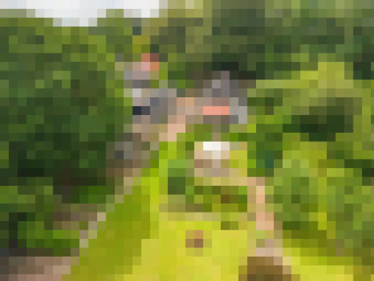 Lageweg 24 Wedde thumbnail 6