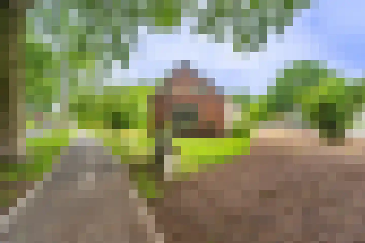 Lageweg 24 Wedde thumbnail 8