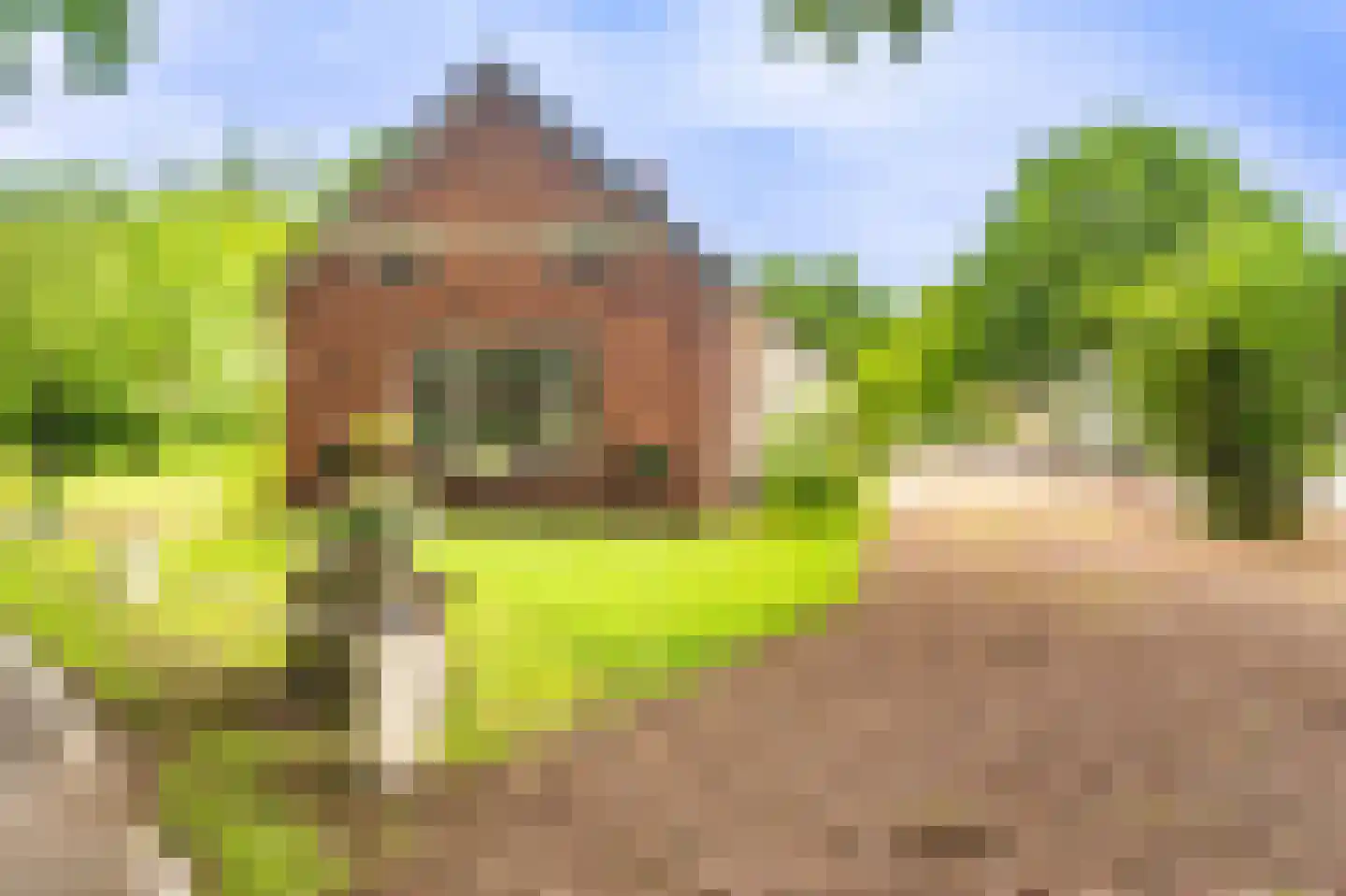 Lageweg 24 Wedde thumbnail 9