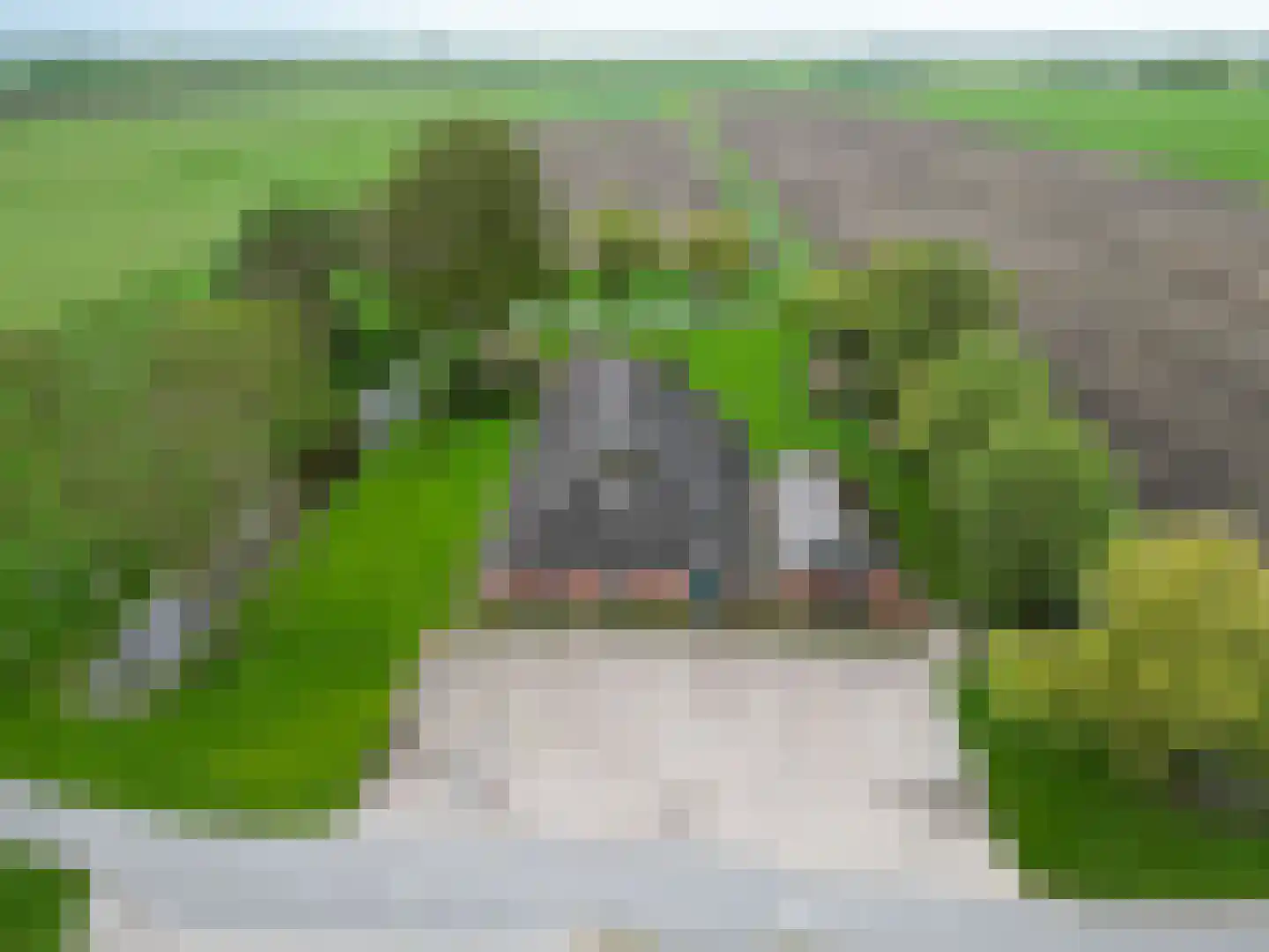 Lageweg 25 Thesinge thumbnail 10