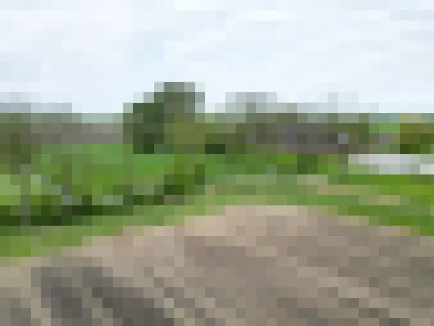 Lageweg 25 Thesinge thumbnail 11