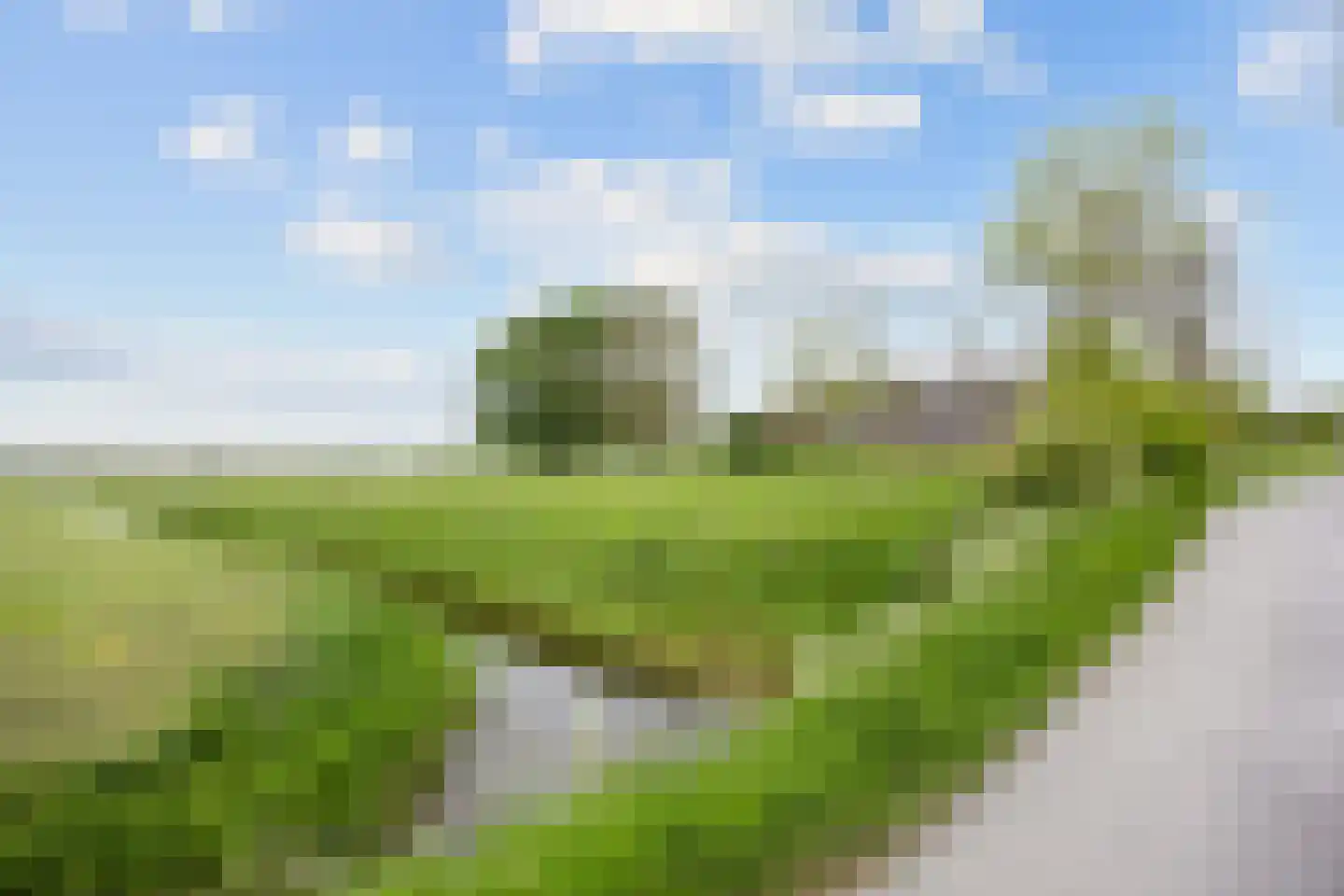 Lageweg 25 Thesinge thumbnail 12