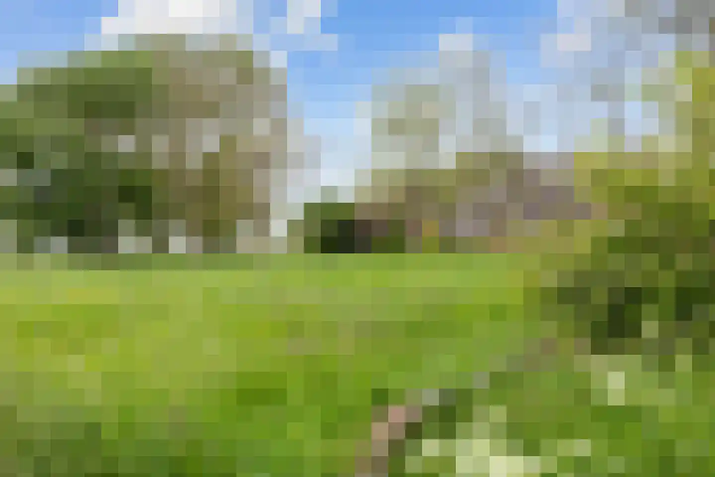 Lageweg 25 Thesinge thumbnail 13