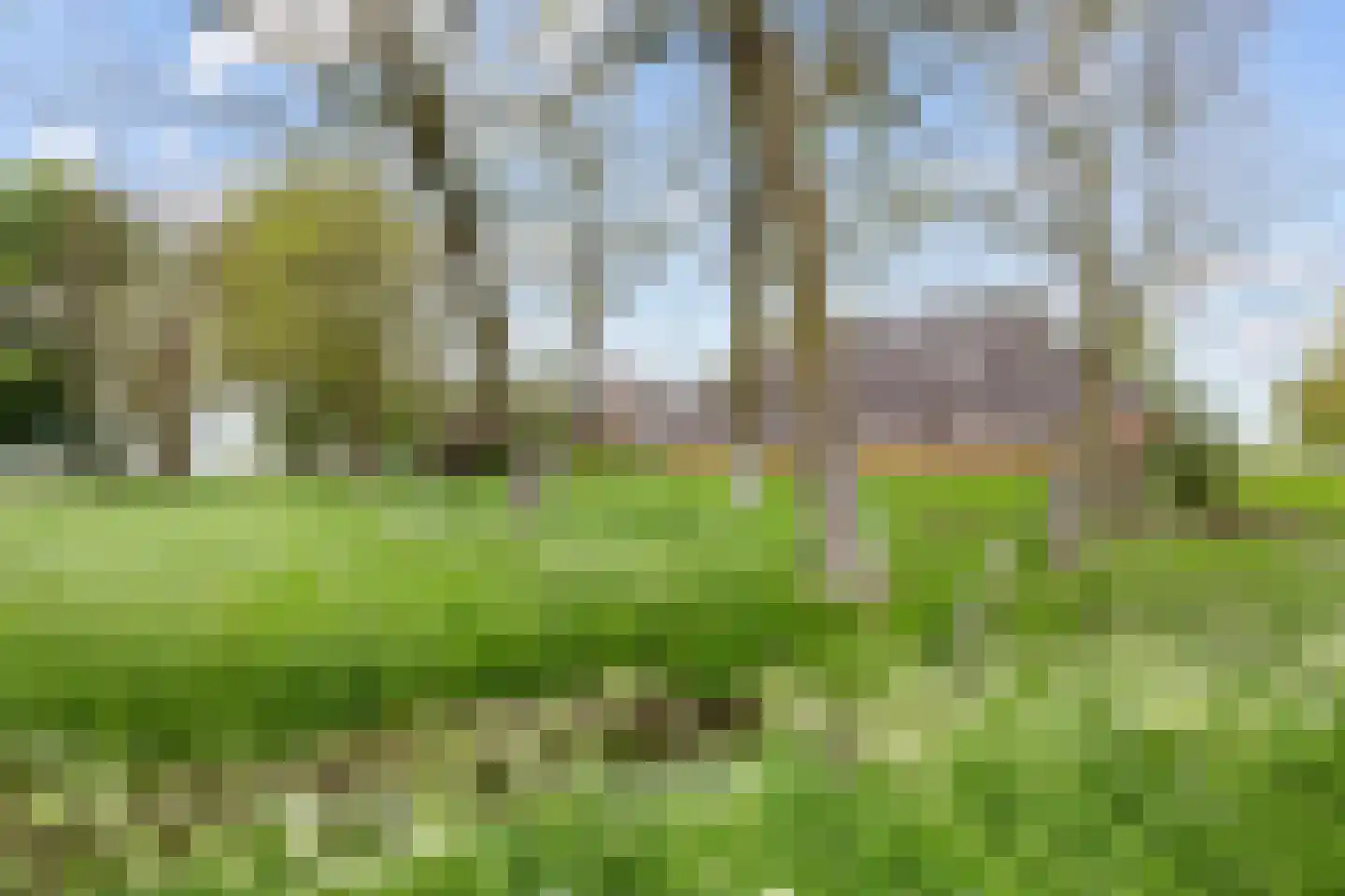 Lageweg 25 Thesinge thumbnail 14