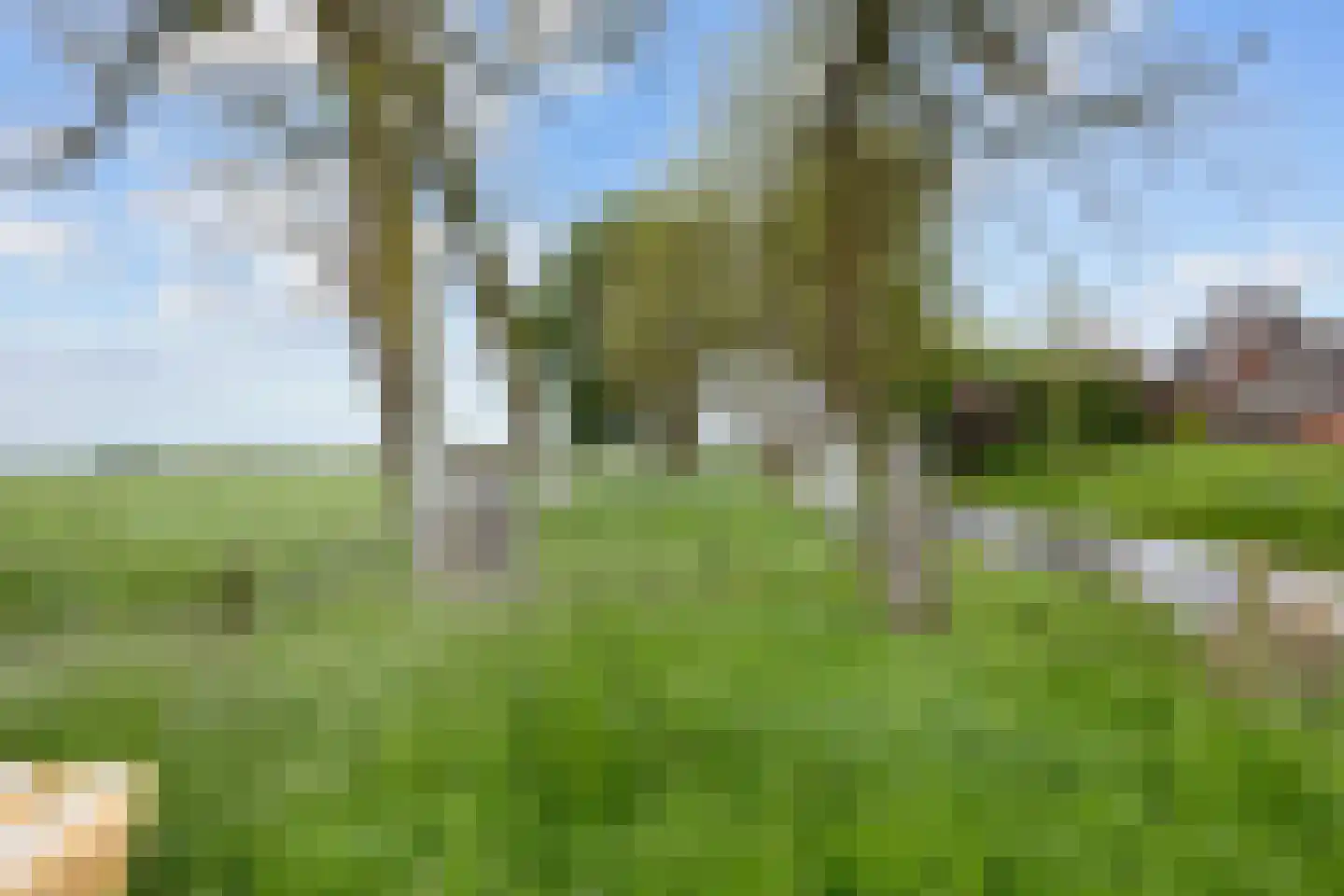 Lageweg 25 Thesinge thumbnail 15