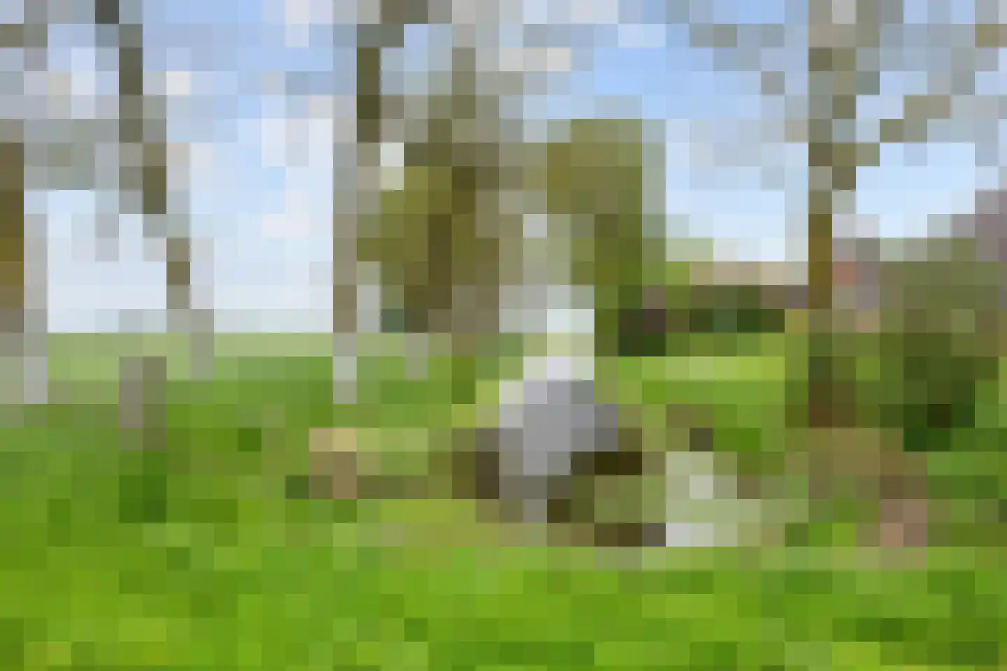 Lageweg 25 Thesinge thumbnail 17