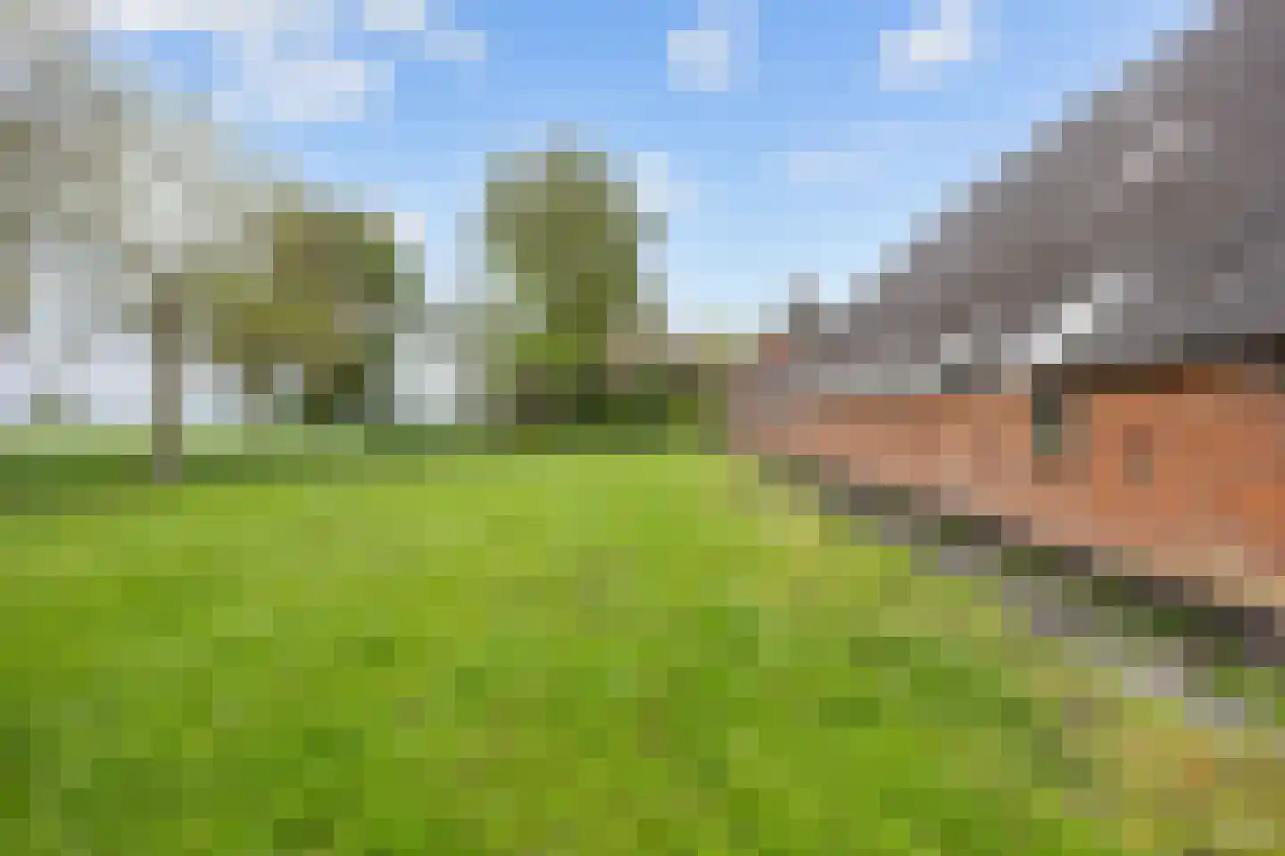 Lageweg 25 Thesinge thumbnail 19