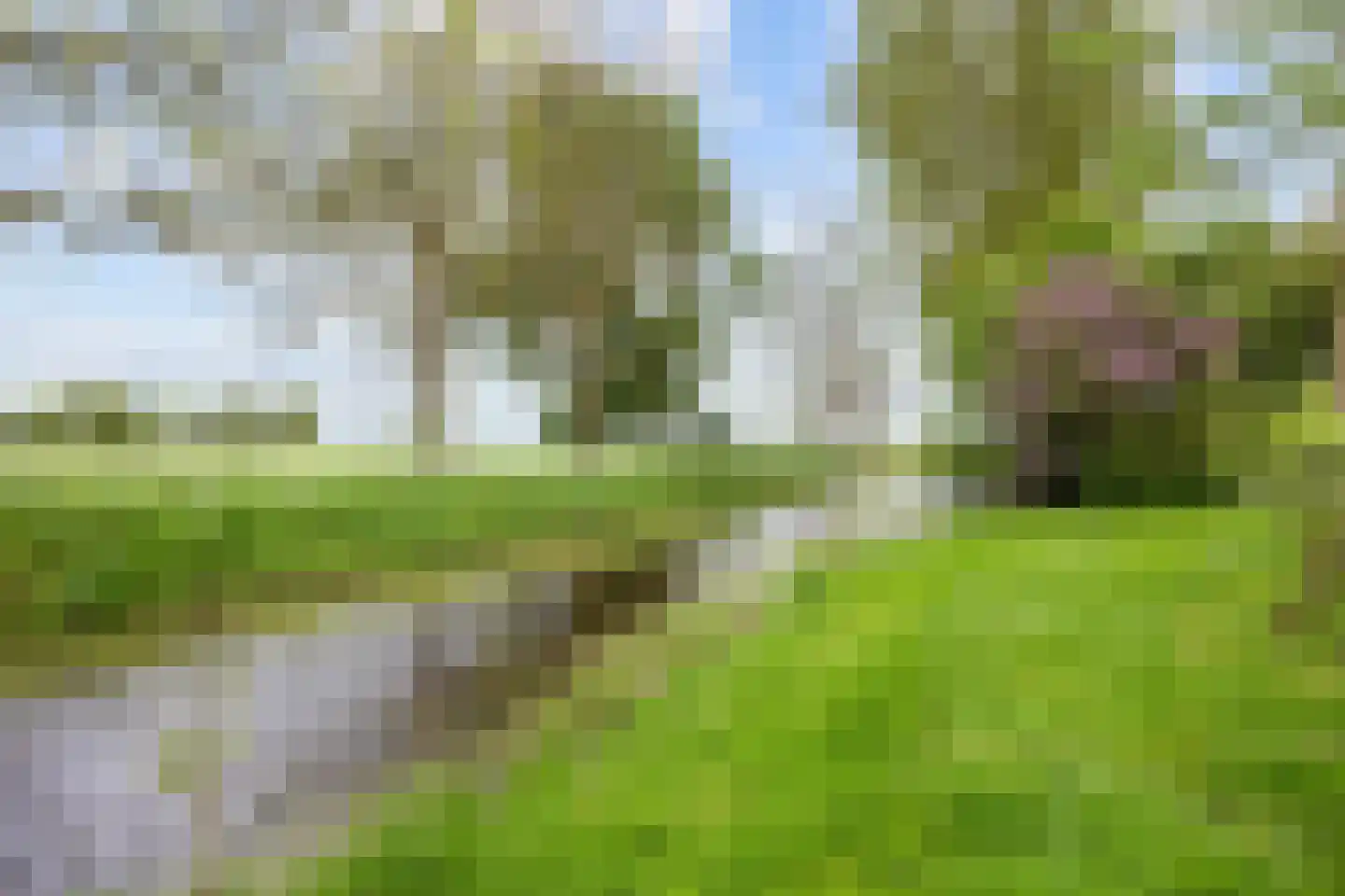 Lageweg 25 Thesinge thumbnail 20