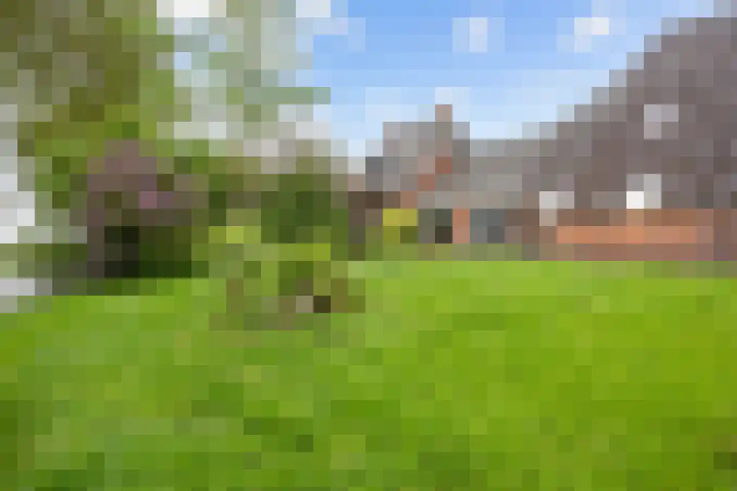 Lageweg 25 Thesinge thumbnail 21