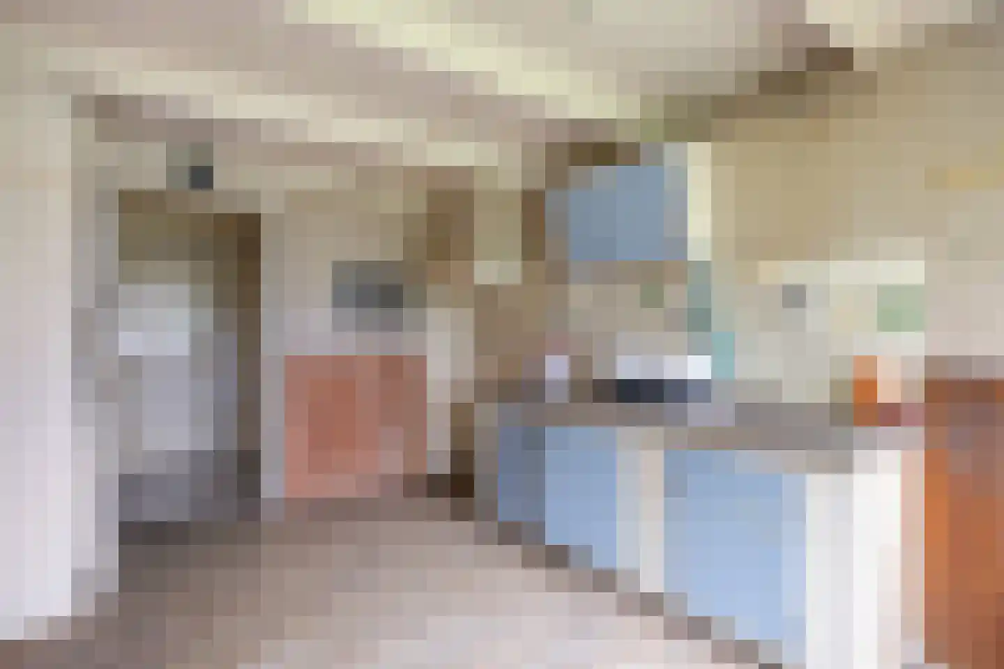 Lageweg 25 Thesinge thumbnail 26