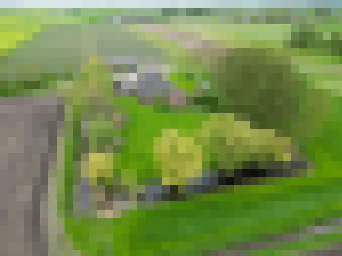 Lageweg 25 Thesinge thumbnail 4