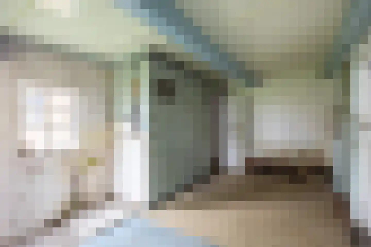 Lageweg 25 Thesinge thumbnail 41