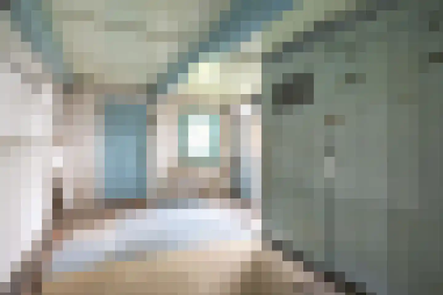 Lageweg 25 Thesinge thumbnail 42