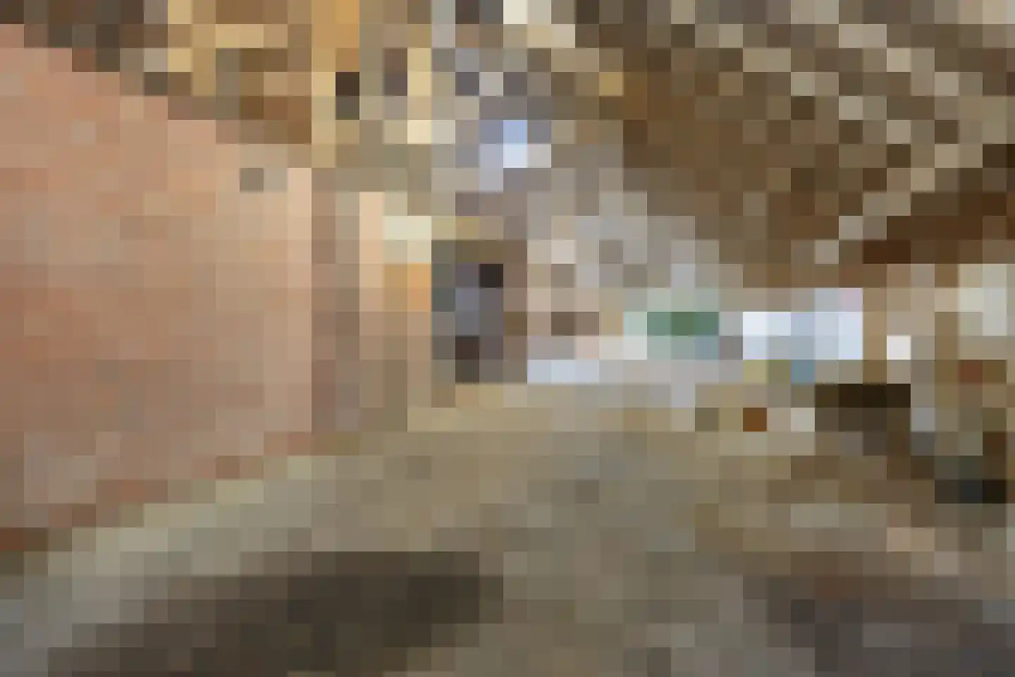Lageweg 25 Thesinge thumbnail 51