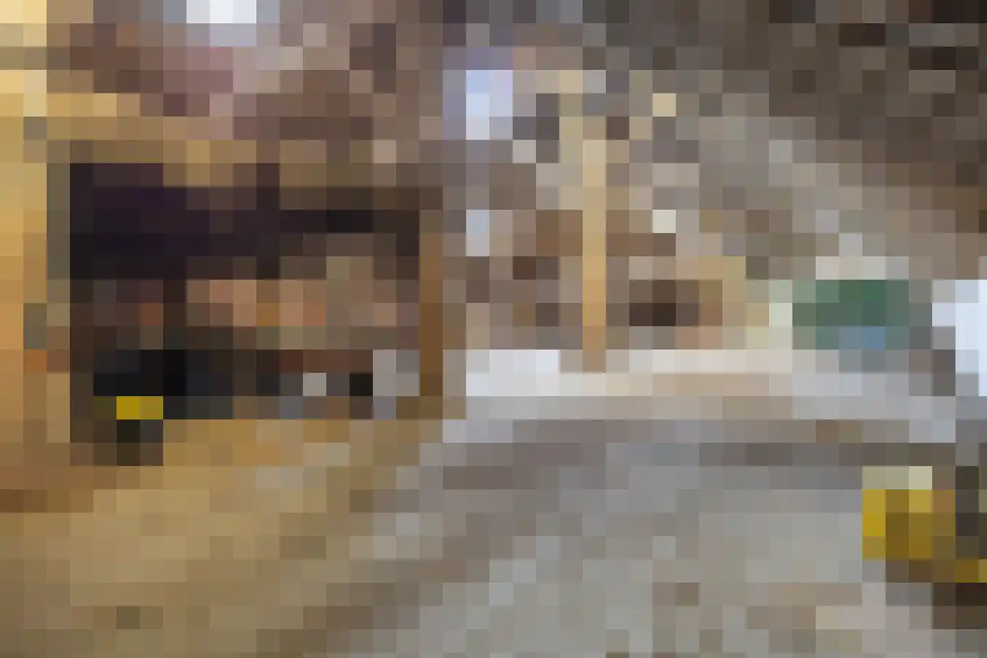 Lageweg 25 Thesinge thumbnail 52