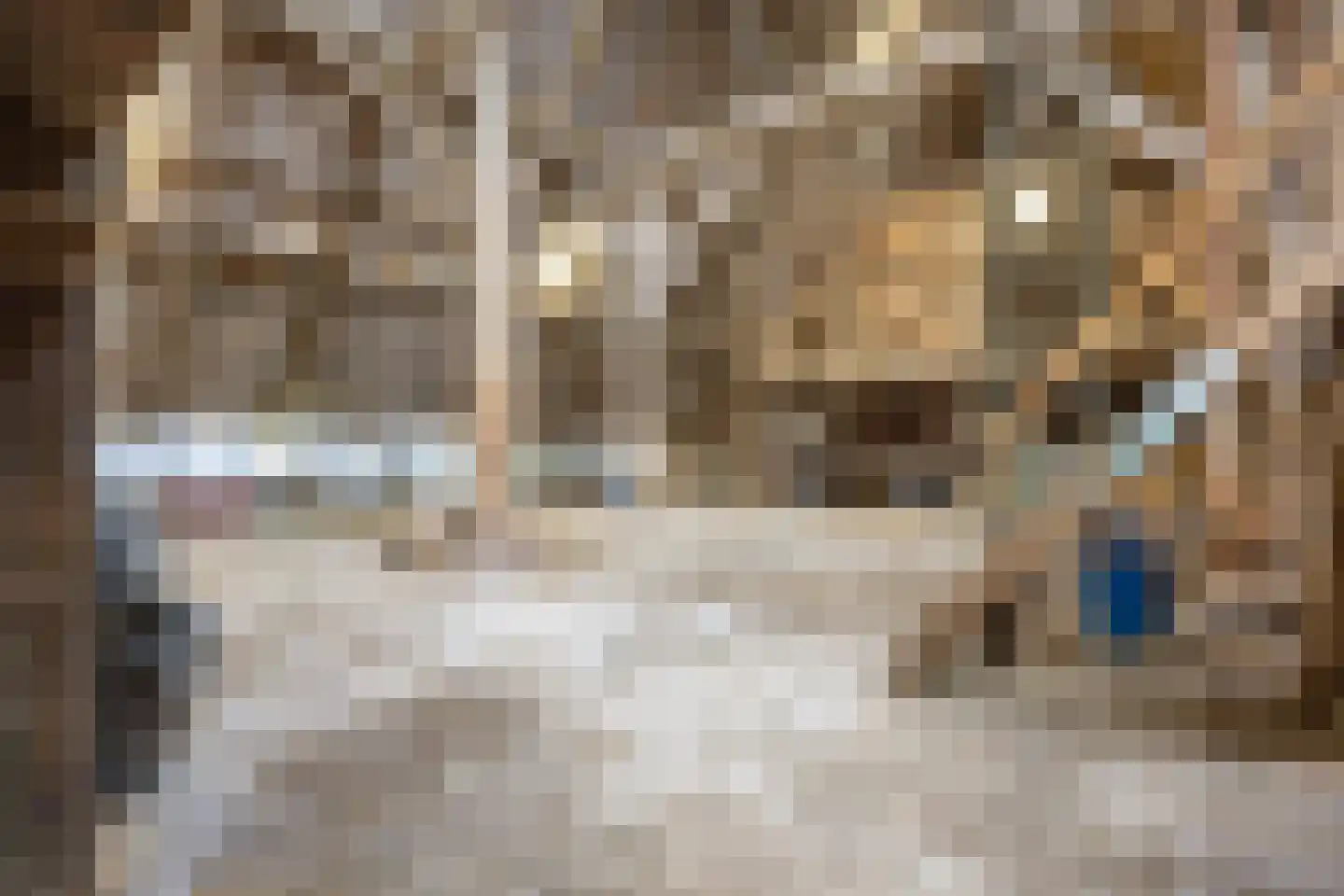 Lageweg 25 Thesinge thumbnail 53