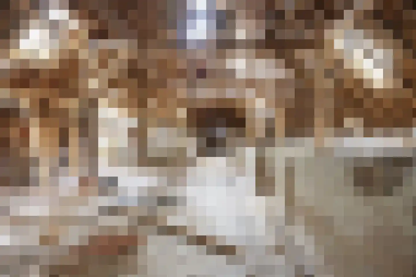 Lageweg 25 Thesinge thumbnail 54