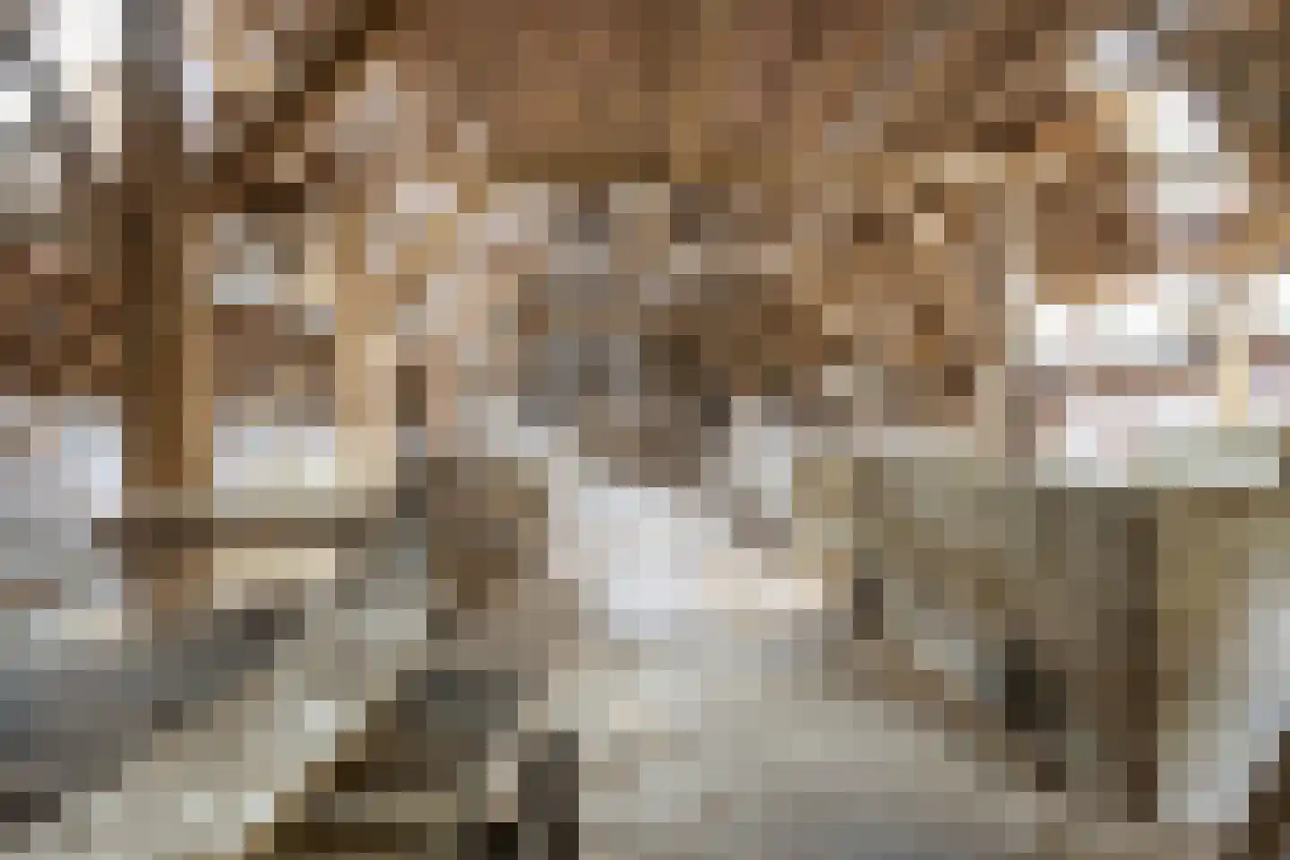 Lageweg 25 Thesinge thumbnail 55
