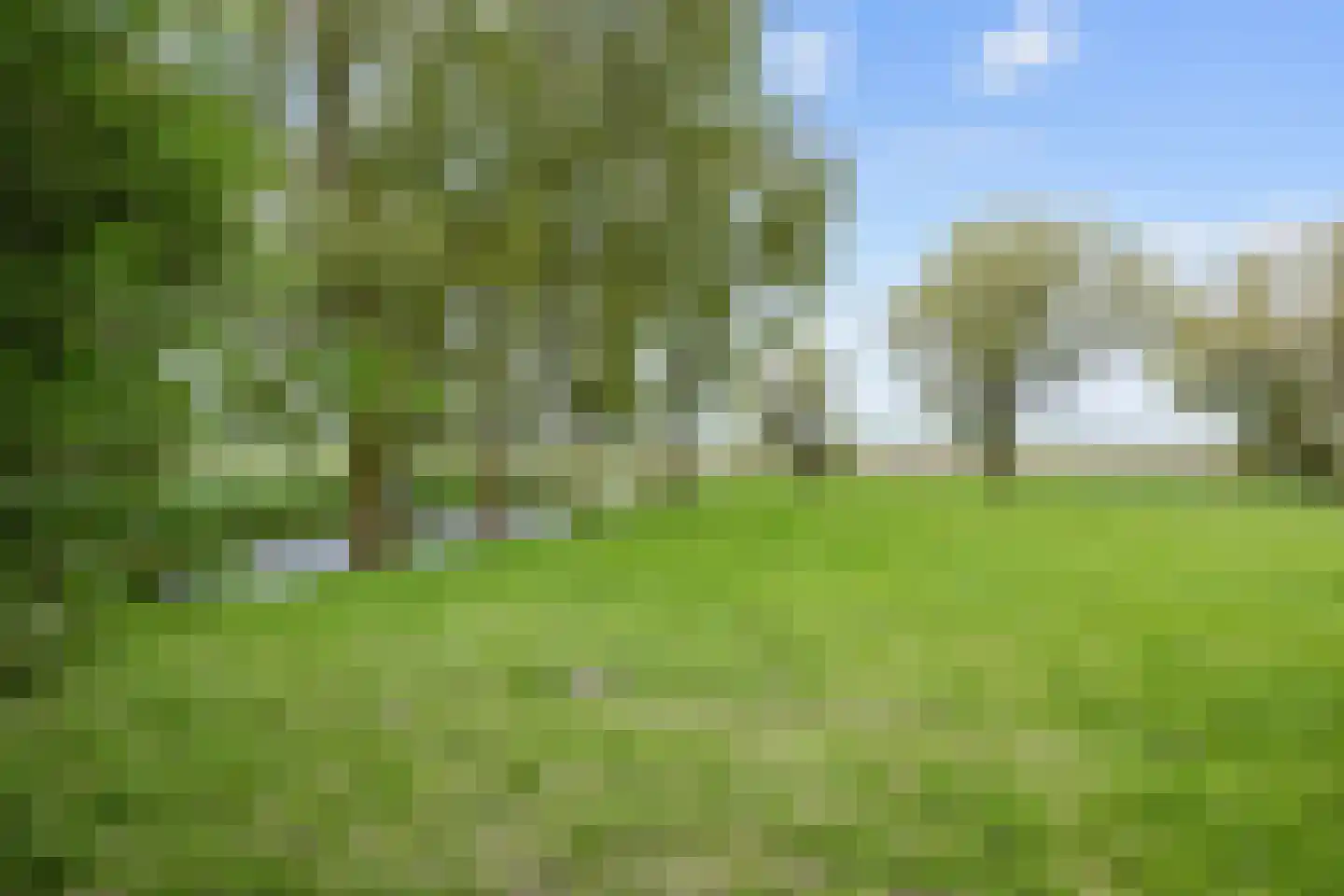 Lageweg 25 Thesinge thumbnail 56