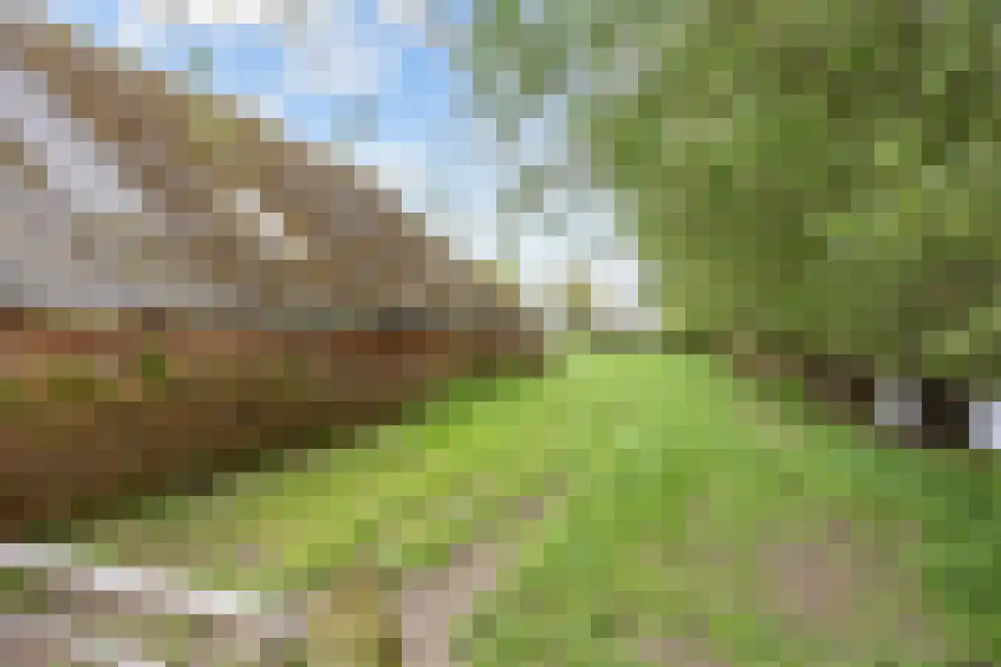Lageweg 25 Thesinge thumbnail 58
