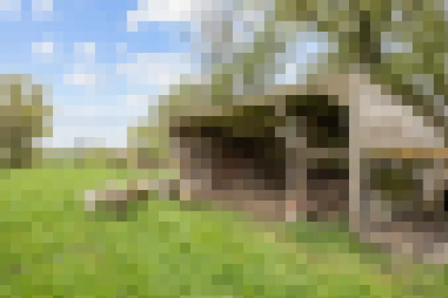 Lageweg 25 Thesinge thumbnail 61