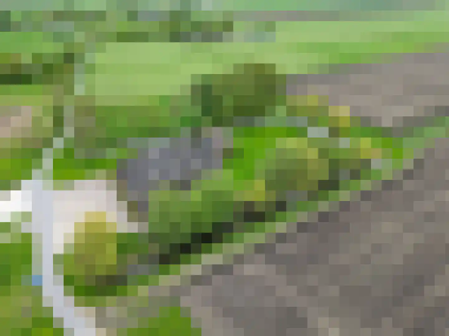 Lageweg 25 Thesinge thumbnail 7