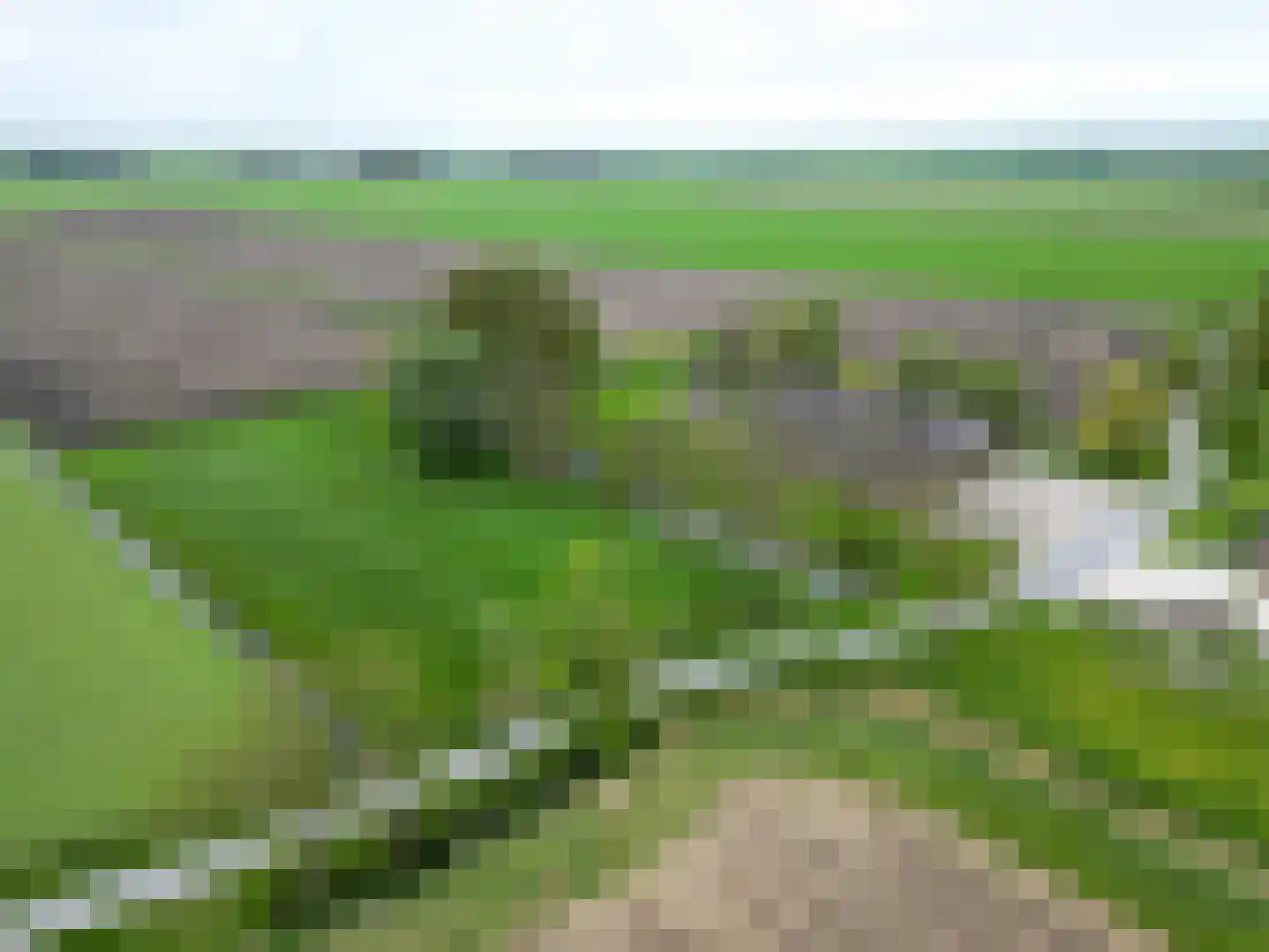 Lageweg 25 Thesinge thumbnail 8