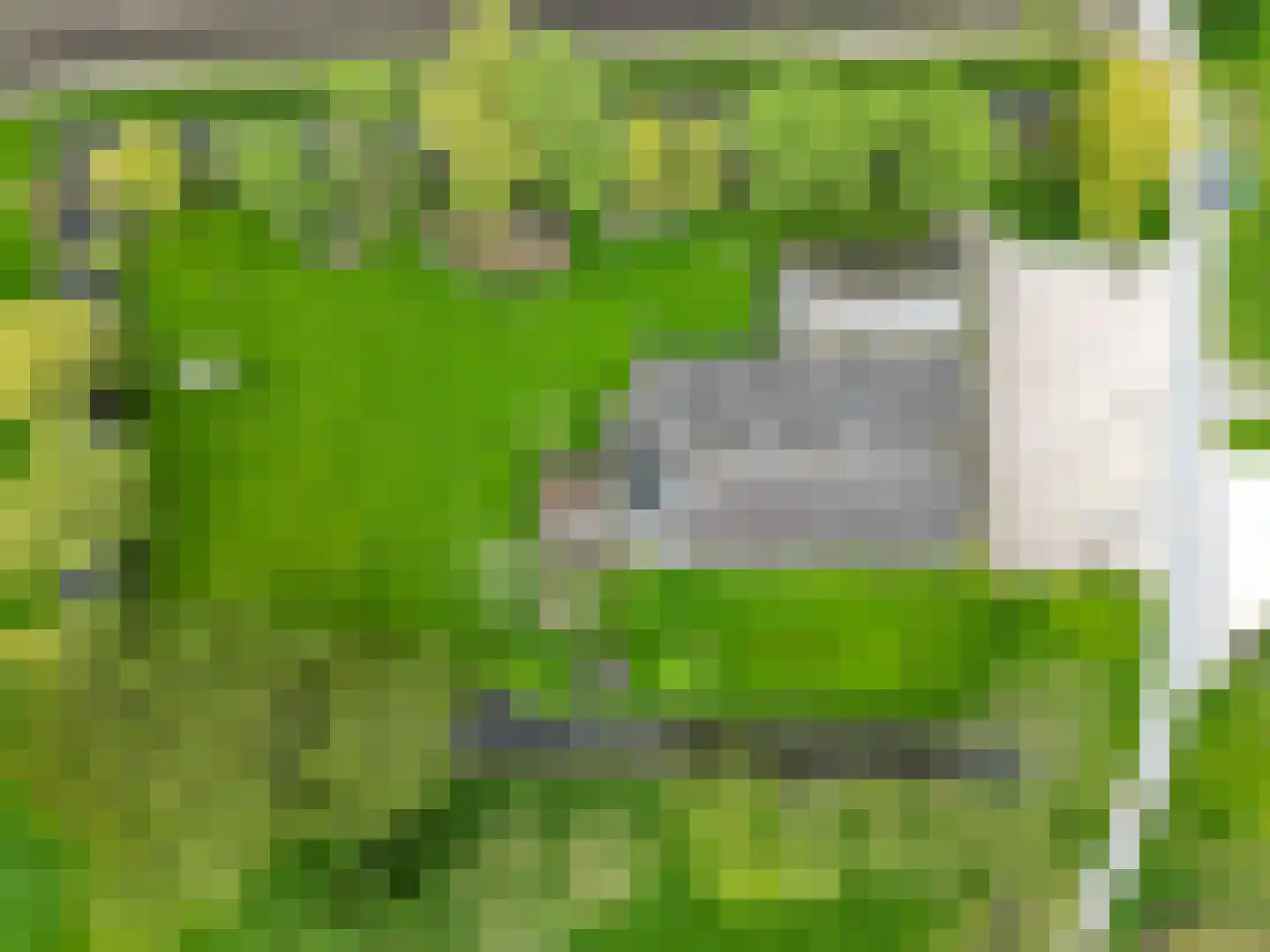 Lageweg 25 Thesinge thumbnail 9