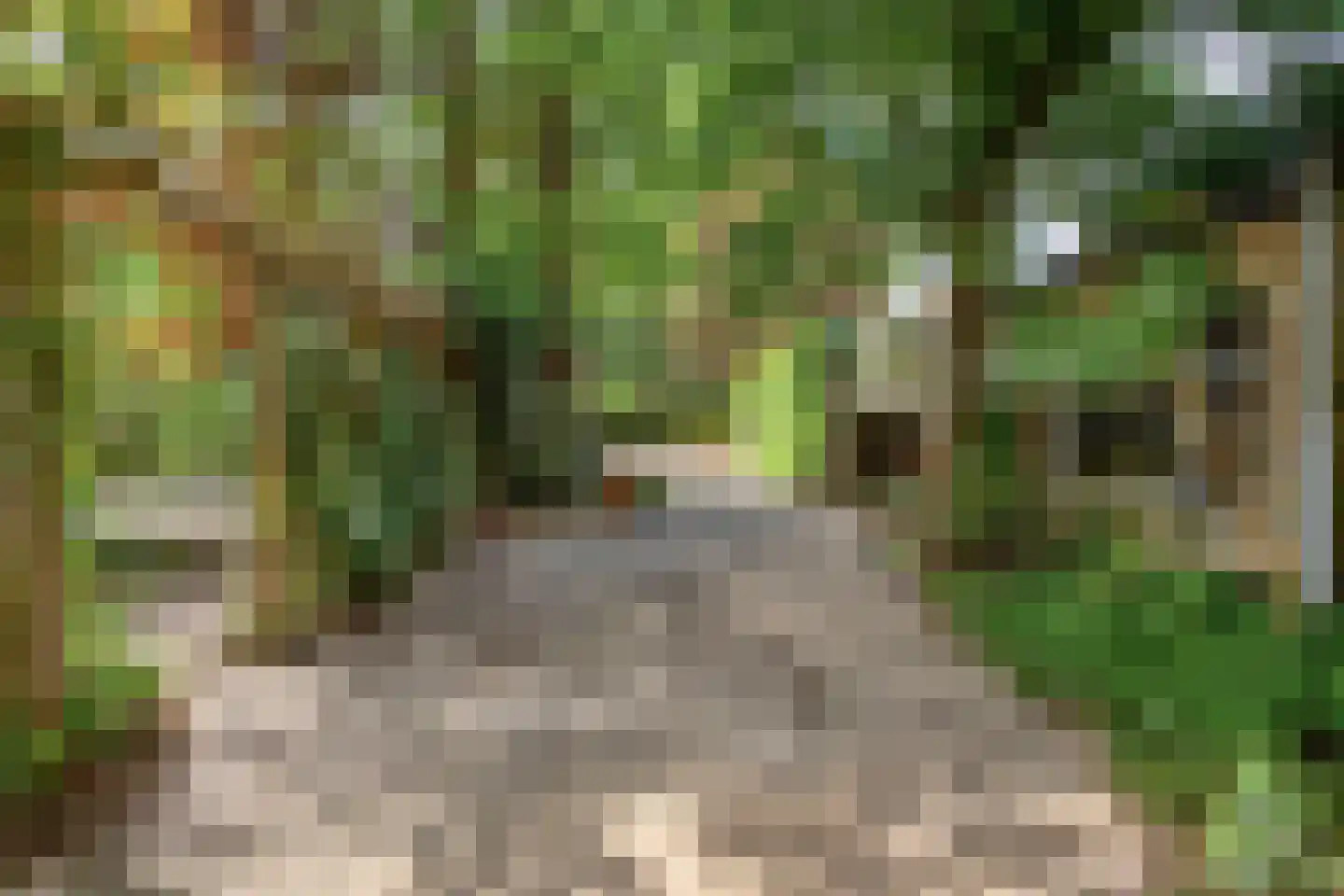 Lageweg 27 Ouderkerk aan den IJssel thumbnail 24