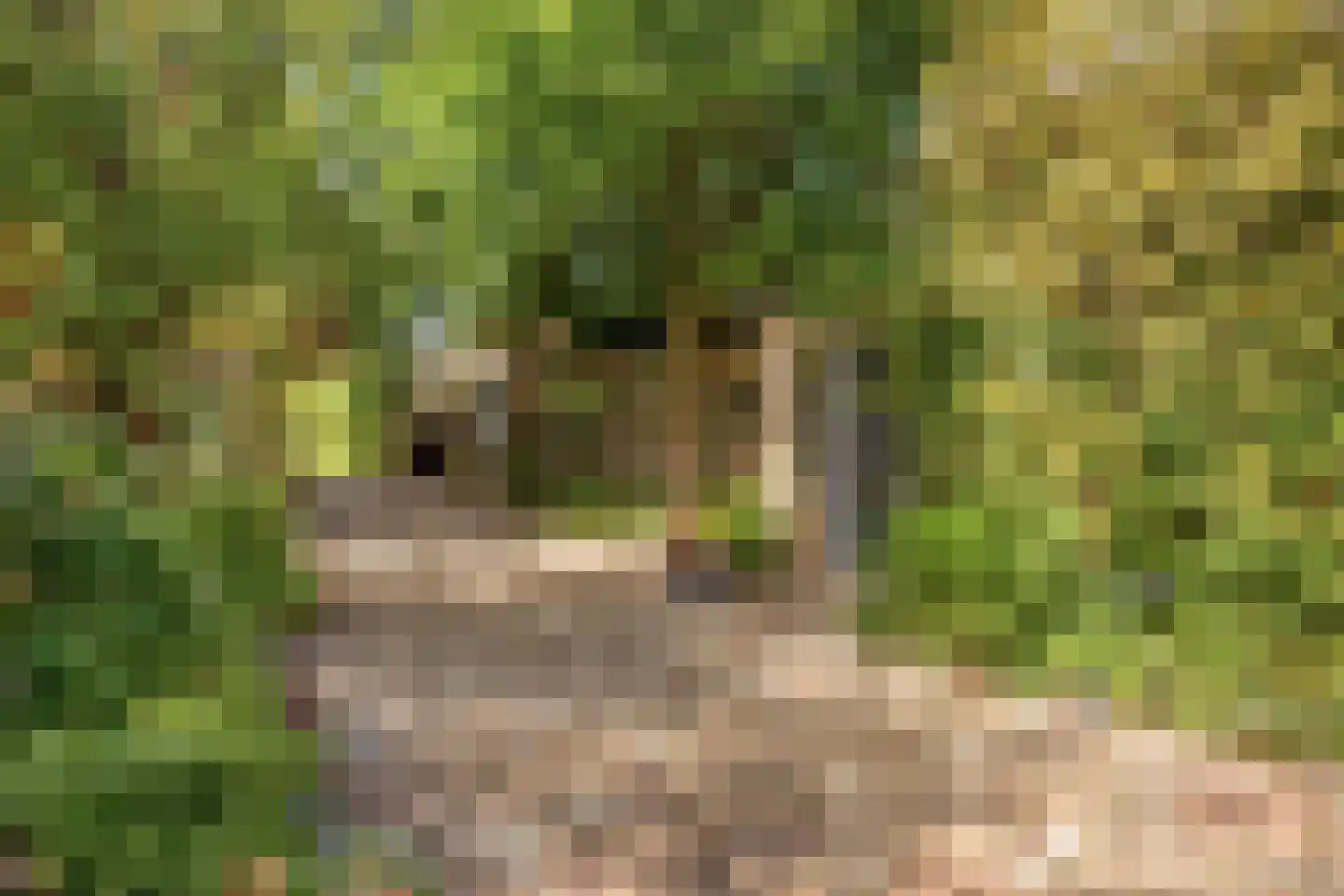 Lageweg 27 Ouderkerk aan den IJssel thumbnail 25