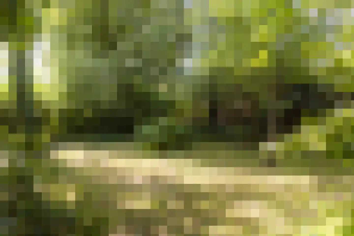 Lageweg 27 Ouderkerk aan den IJssel thumbnail 29