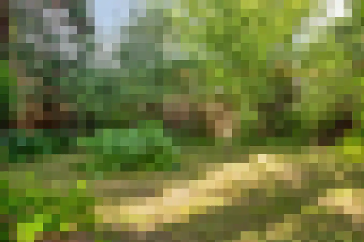 Lageweg 27 Ouderkerk aan den IJssel thumbnail 30