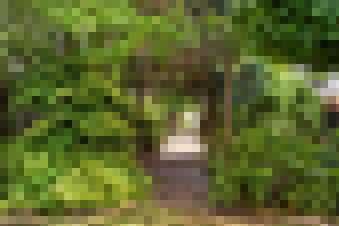 Lageweg 27 Ouderkerk aan den IJssel thumbnail 31