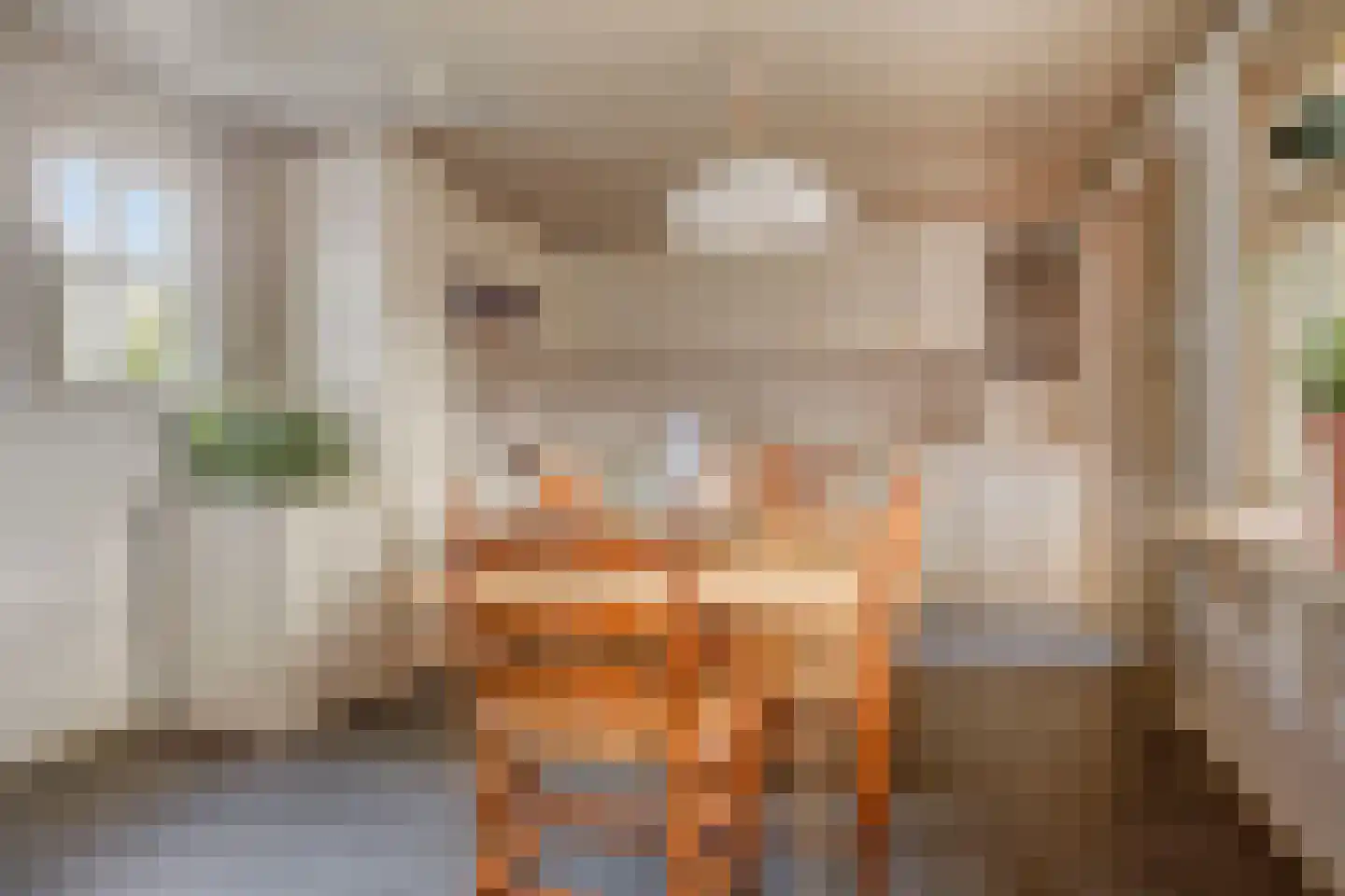 Lageweg 27 Ouderkerk aan den IJssel thumbnail 9