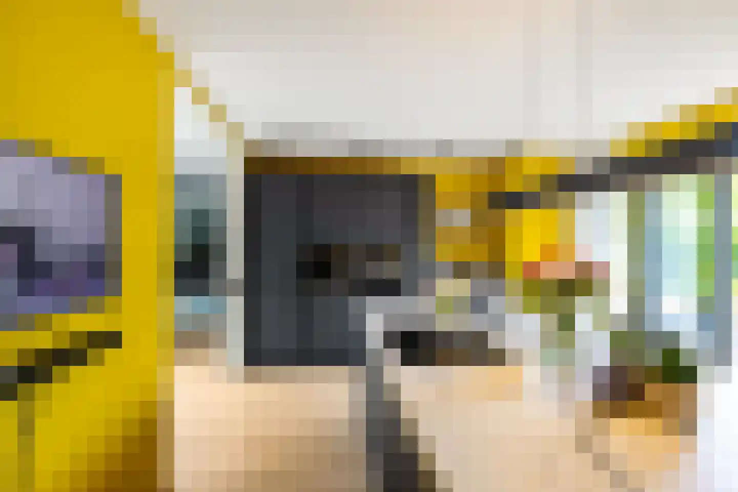 Lageweg 28 Thesinge thumbnail 10
