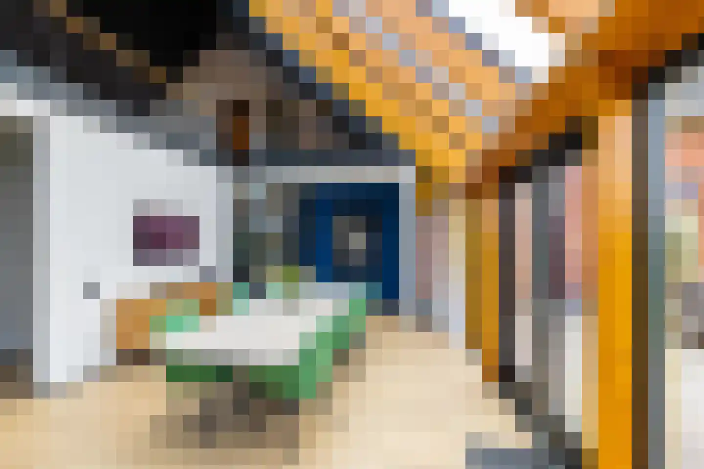 Lageweg 28 Thesinge thumbnail 12