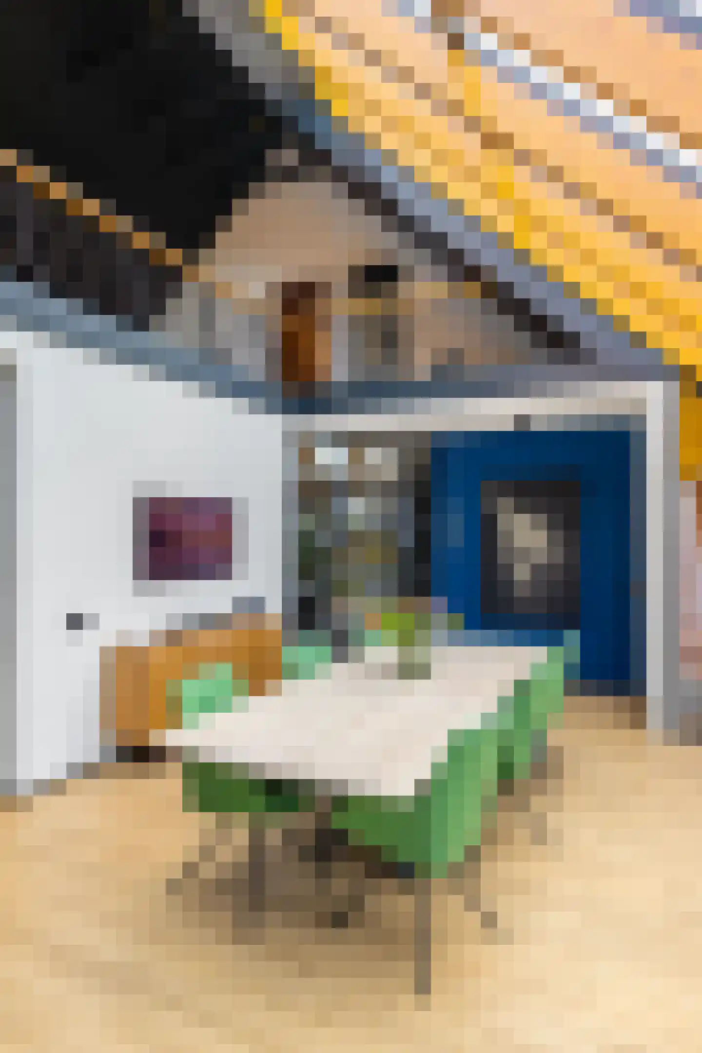Lageweg 28 Thesinge thumbnail 13