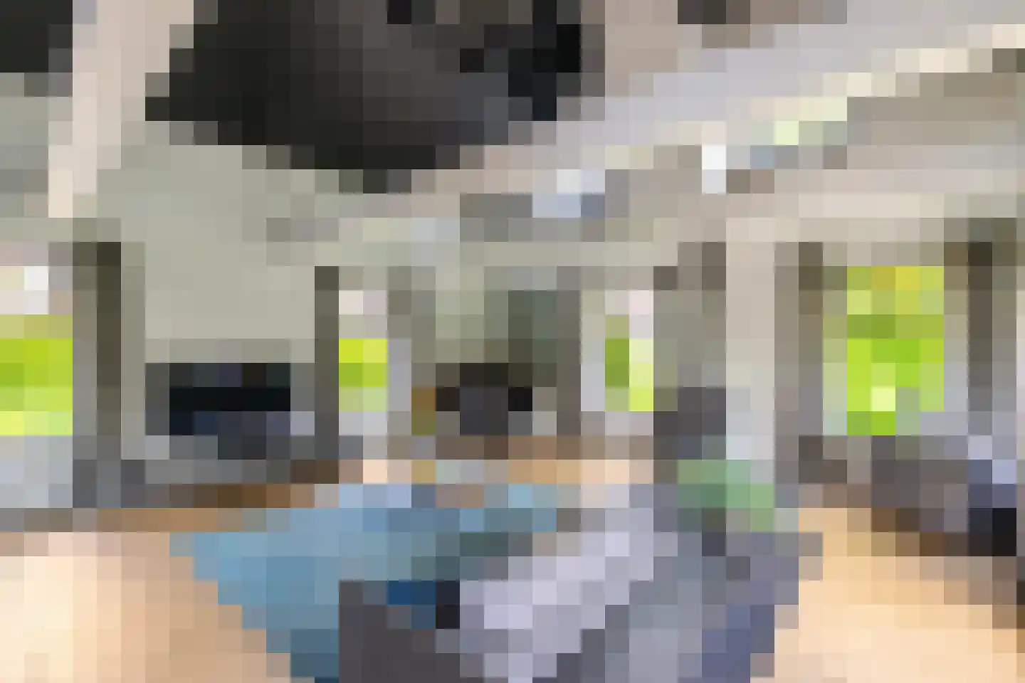 Lageweg 28 Thesinge thumbnail 16