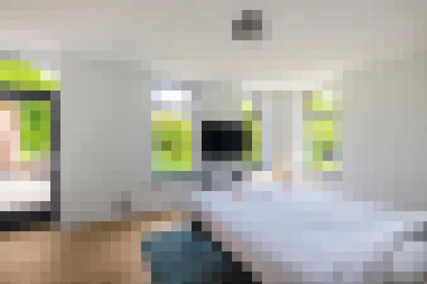 Lageweg 28 Thesinge thumbnail 26