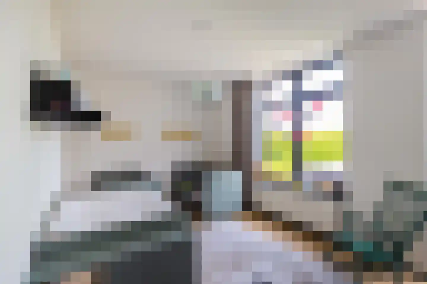 Lageweg 28 Thesinge thumbnail 32