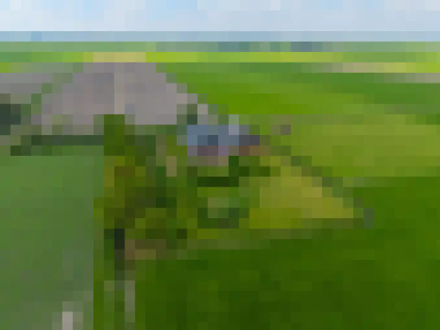 Lageweg 28 Thesinge thumbnail 4