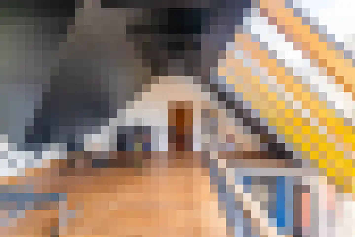 Lageweg 28 Thesinge thumbnail 46