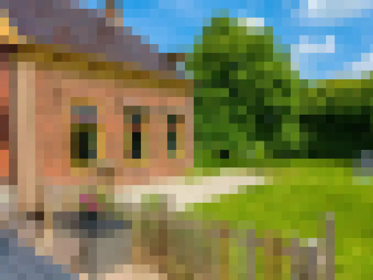 Lageweg 28 Thesinge thumbnail 50