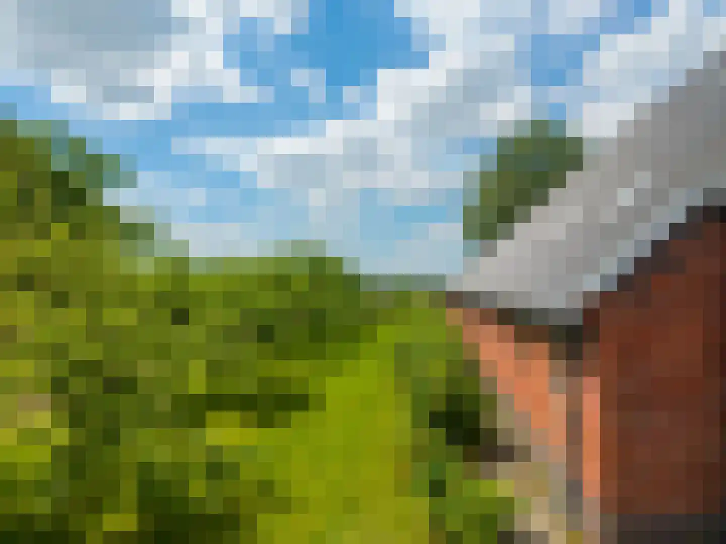 Lageweg 28 Thesinge thumbnail 52