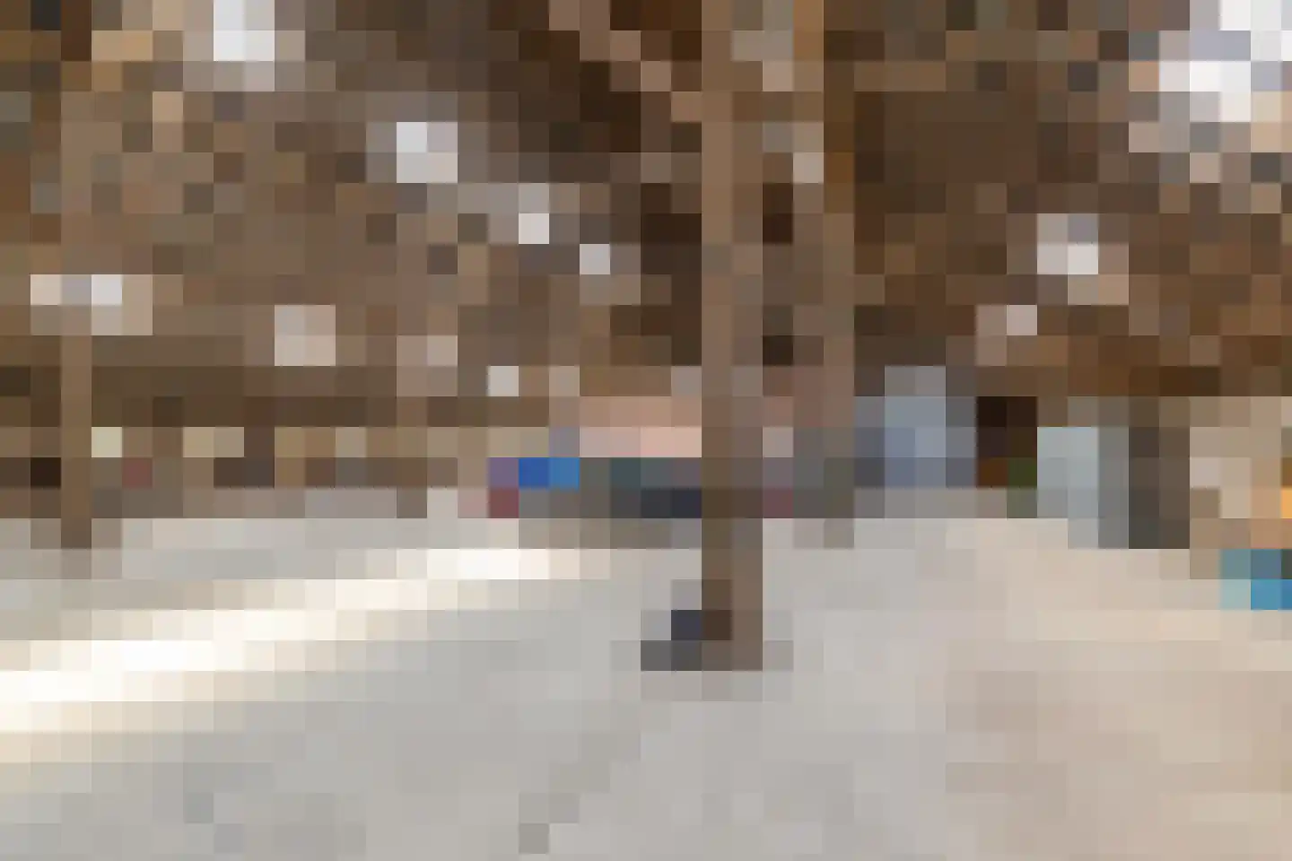 Lageweg 28 Thesinge thumbnail 58