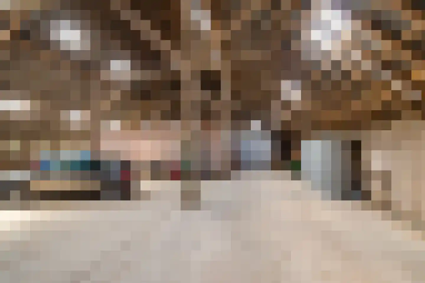 Lageweg 28 Thesinge thumbnail 59