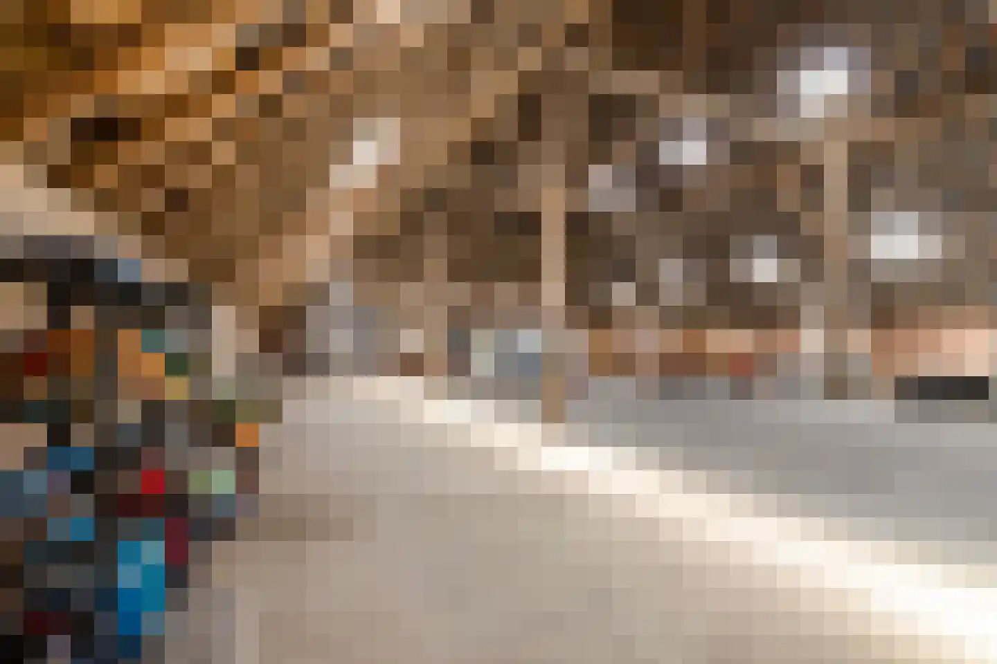 Lageweg 28 Thesinge thumbnail 60
