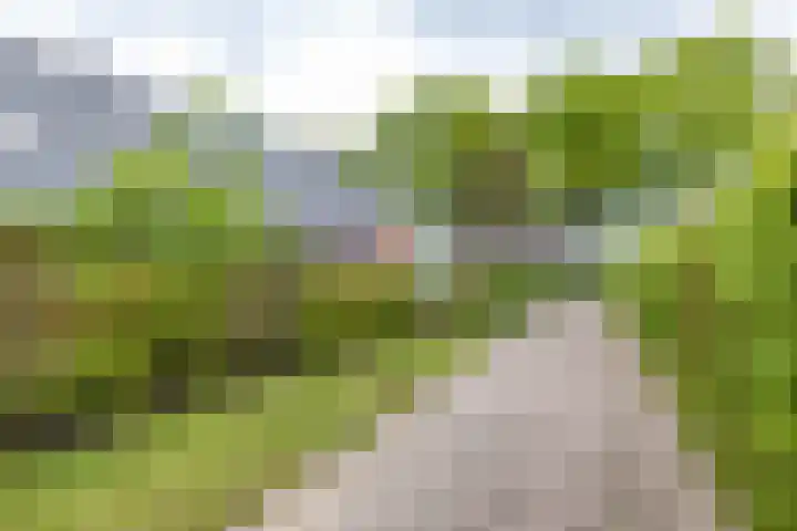 Lageweg 29 a Noordlaren thumbnail 11